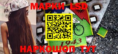 прущие грибы Брянск