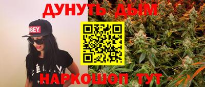 прущие грибы Брянск