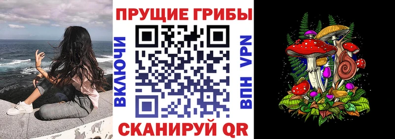 Галлюциногенные грибы Psilocybine cubensis гидра как зайти Дюртюли